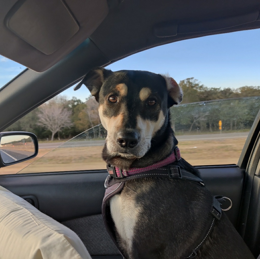 Meet your Posher, Murray